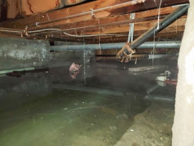 Basement Renovating